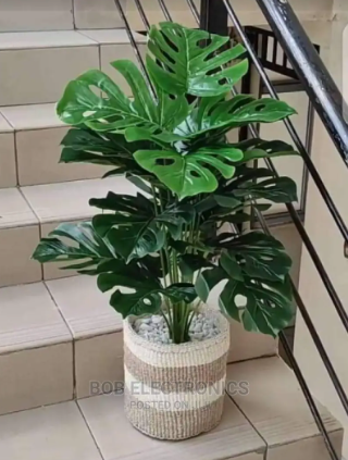 HOT SALE!!!! ARTIFICIAL/FAUX HOME DECOR MONSTERA PLANT (80cm)- GREEN WITH MEDIUM SISAL BASKET