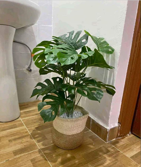 HOT SALE!!!! ARTIFICIAL/FAUX HOME DECOR MONSTERA PLANT (80cm)- GREEN WITH MEDIUM SISAL BASKET