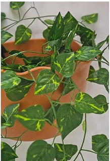 AFFORDABLE HOME DECOR ARTIFICIAL//FAUX/AESTHETIC IVY GARLAND GREENERY HANGING VINES/LEAVES FOR LIVINGROOM/BEDROOM/BATHROOM DECOR