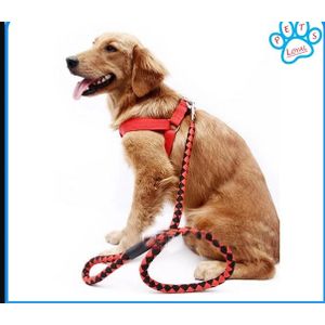 Elegant Complete Set Dog Leash, Harness, and Collar – Beautiful and Classy Design, Medium Size, Available in 3 Stunning Colors for Comfortable and Stylish Pet Outings
