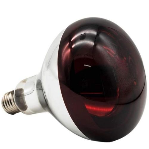 Red Infrared Heat Chicken Bulb – 6000-Hour Lifespan for Animal Health in Professional Farms & Garages