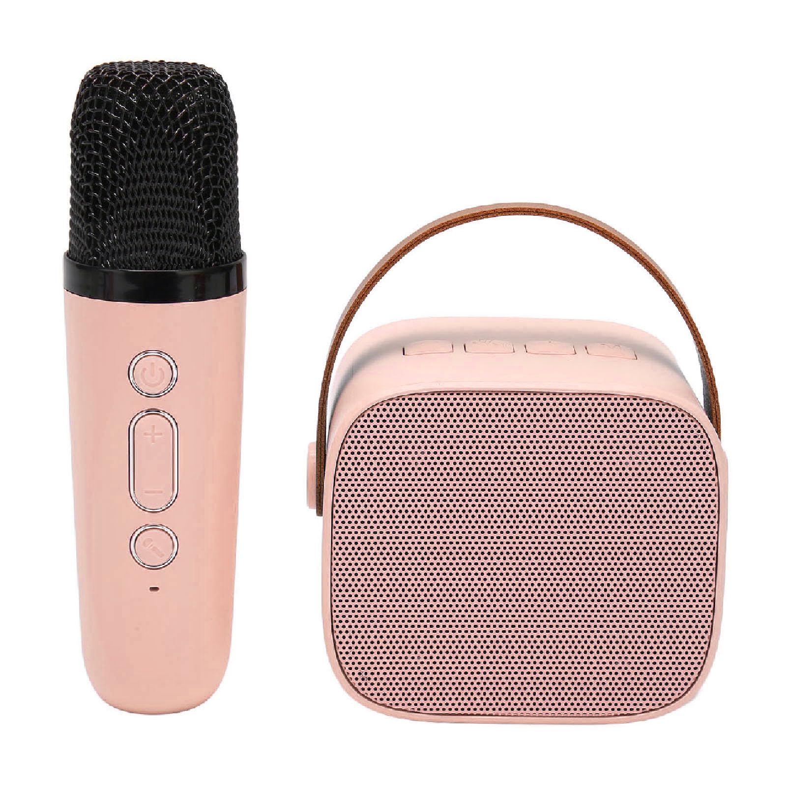 Portable Speaker With 2 Handheld Wireless Microphones