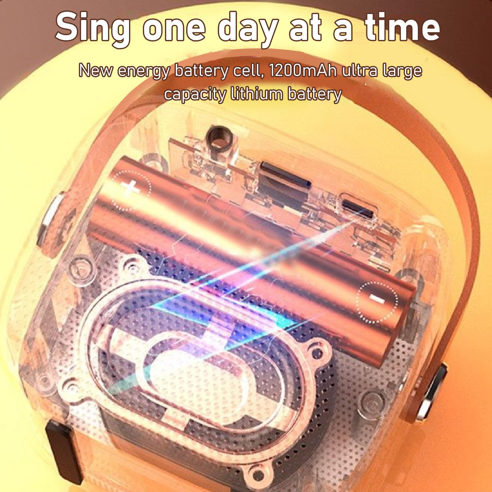 Portable Speaker With 2 Handheld Wireless Microphones