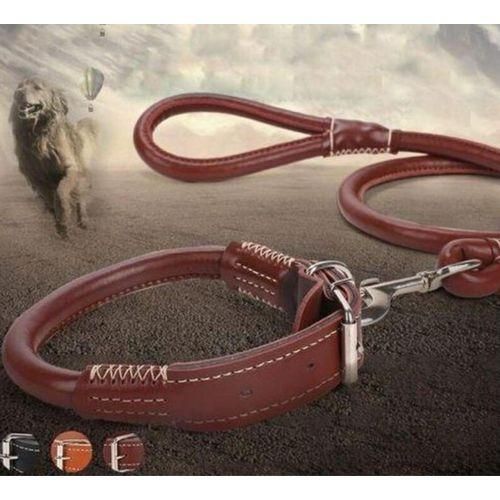 Complete set Easy grip rolled up leather dog collar and leash