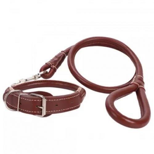 Complete set Easy grip rolled up leather dog collar and leash