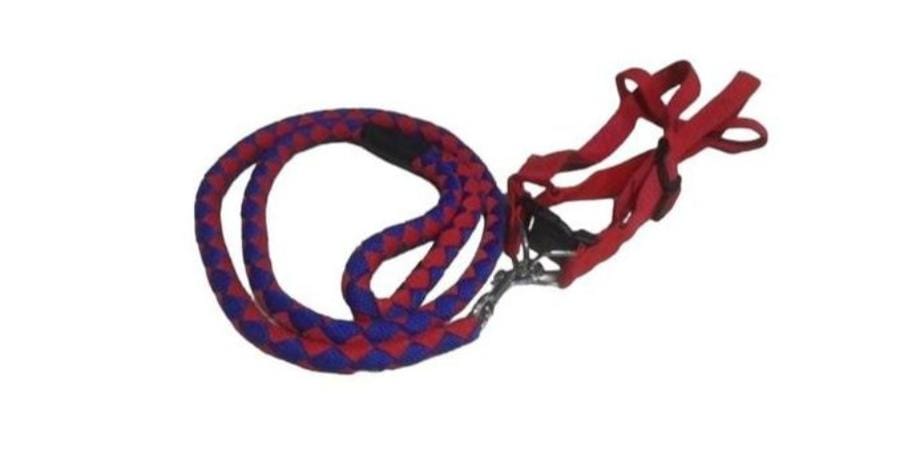 Pet High Quality Nylon Dog Harness And Leash Double Layer