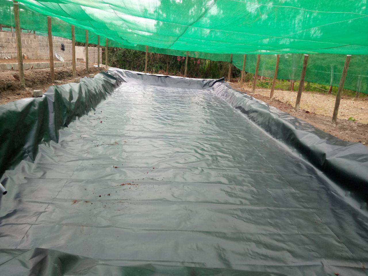 3 Metres x 4 metres Damnliner/ AZOLLA DAM LINER - 0.5mm
