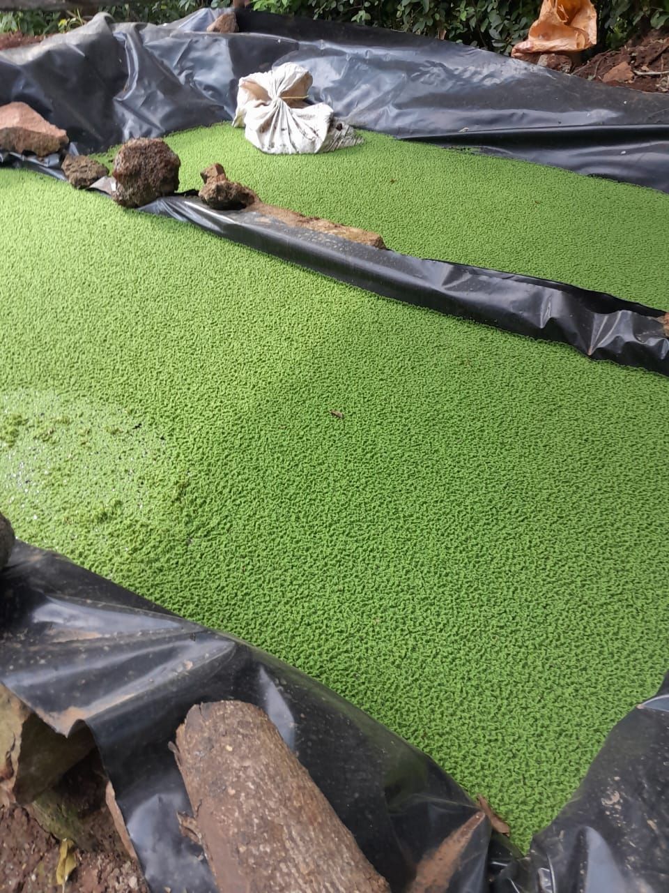 3 Metres x 4 metres Damnliner/ AZOLLA DAM LINER - 0.5mm