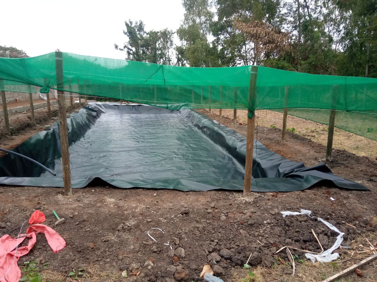 3 Metres x 4 metres Damnliner/ AZOLLA DAM LINER - 0.5mm