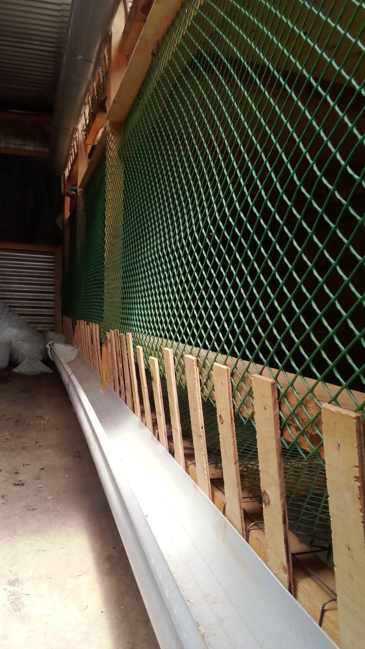 25 METERS PLASTIC CHICKEN MESH