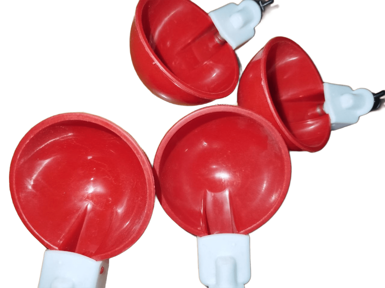 Automatic Chicken drinker cups- 3 pcs  to 20 pcs for buckets hygienic and easy to install in kenya