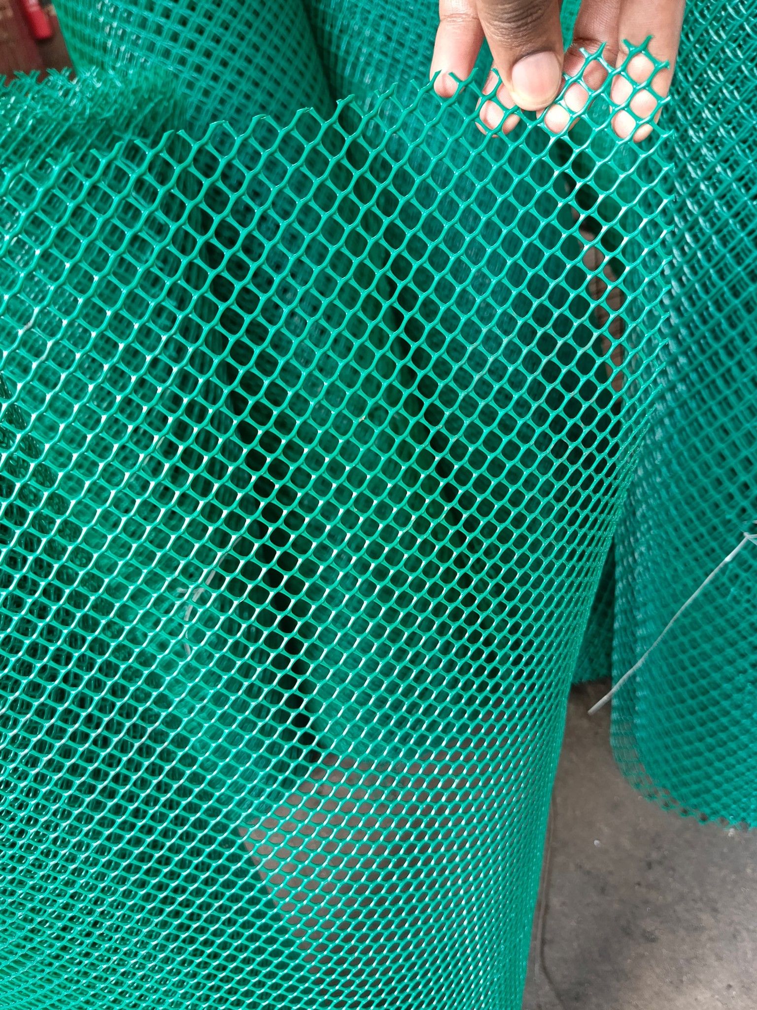 Plastic wire mesh for chicken/ Plastic poutry mesh - 25 meters roll