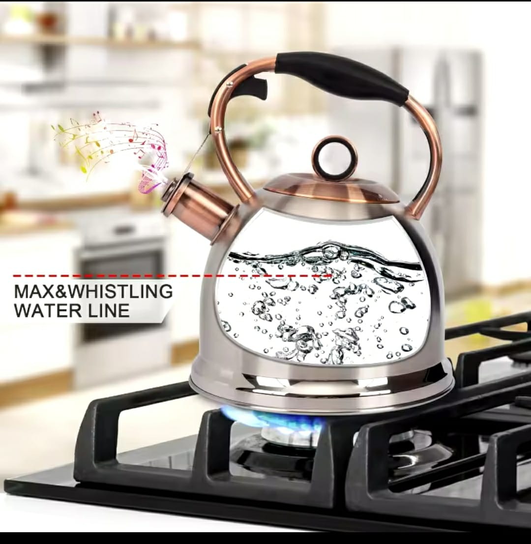 High quality stainless steel kitchen whistling kettle...capable of boiling faster hot water...can be used on stove,induction and gas