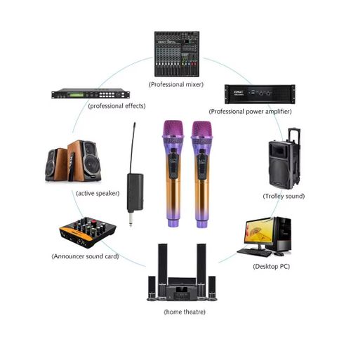 Wireless Microphone, Handheld Dynamic Microphone Wireless Mic System Set with Rechargeable Receiver C