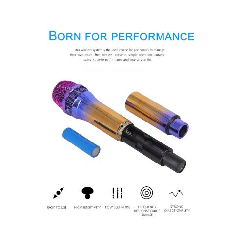 Wireless Microphone, Handheld Dynamic Microphone Wireless Mic System Set with Rechargeable Receiver C