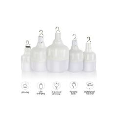 DP light rechargable bulb 30w with USB charging cable