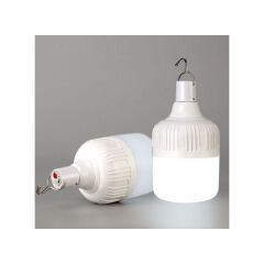 DP light rechargable bulb 30w with USB charging cable