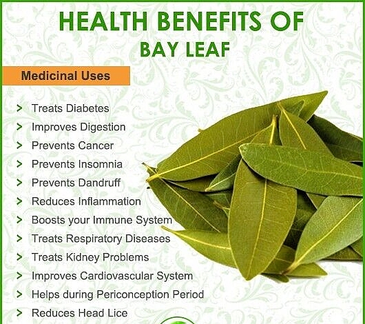 Farm fresh organic dried bay leaves 500g