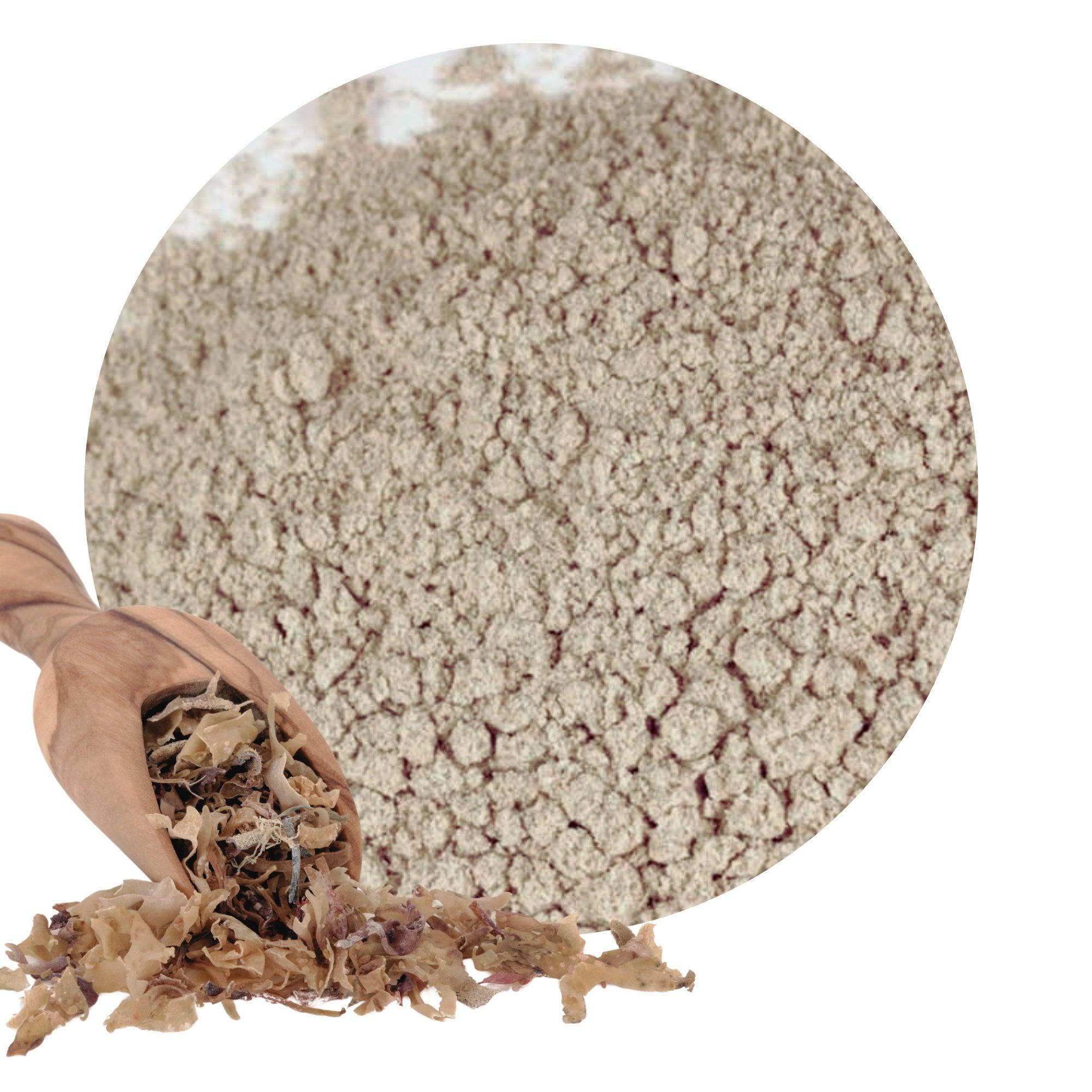 Fresh organic grinded sea moss powder 250g