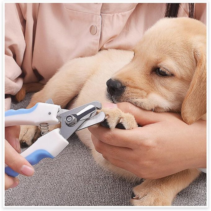 Dog Grooming Scissors Professional Pet Nail Clippers with free nail file