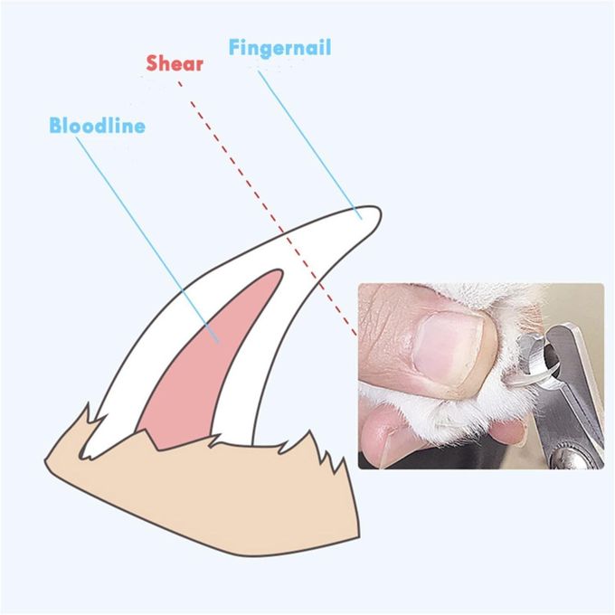 Dog Grooming Scissors Professional Pet Nail Clippers with free nail file
