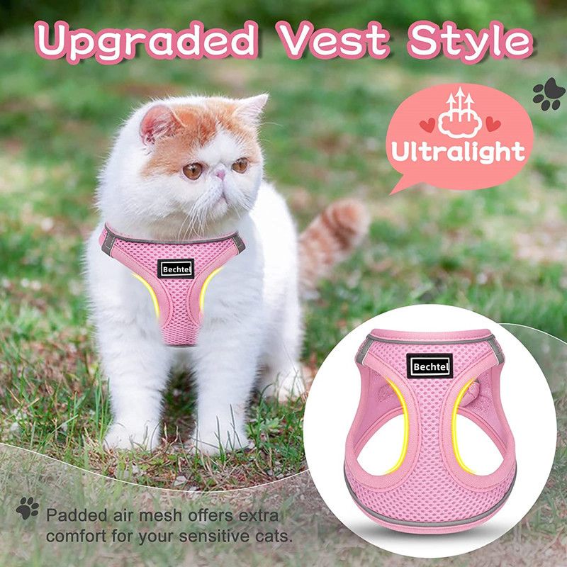 Step-in Dog Harness and Leash Set, Soft Mesh No-Chock Reflective Breathable Easy Walk Lightweight Vest Harnesses with Safety Buckle for Small Medium Dogs, Cats, Puppies XS/S/M/L/XL