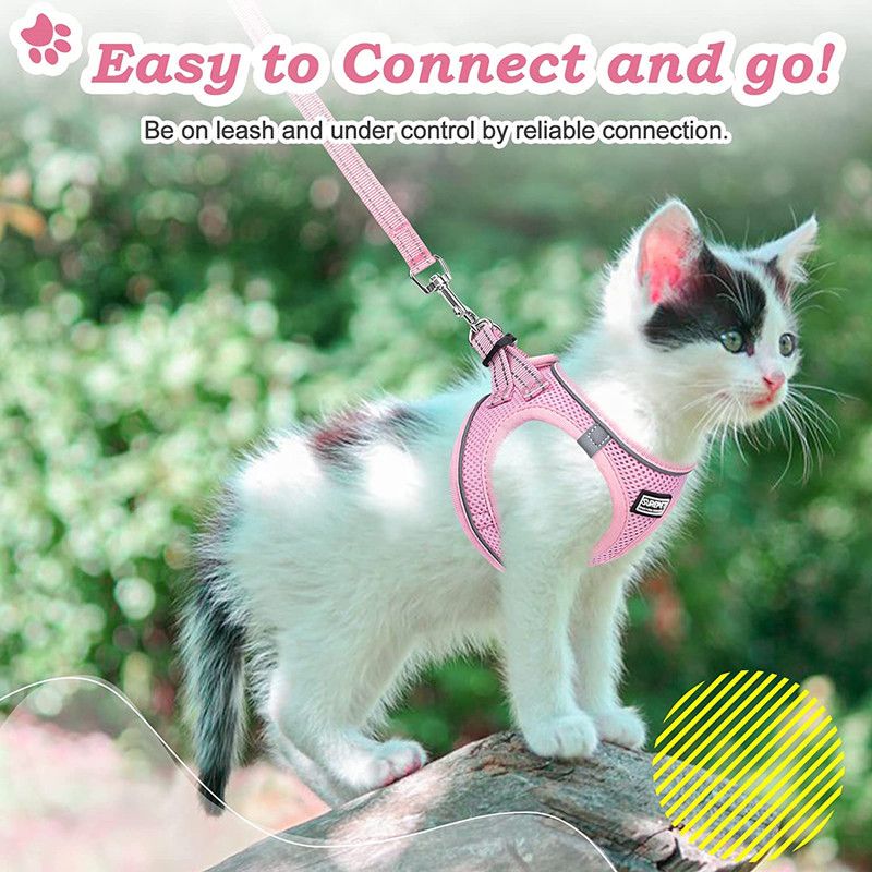 Step-in Dog Harness and Leash Set, Soft Mesh No-Chock Reflective Breathable Easy Walk Lightweight Vest Harnesses with Safety Buckle for Small Medium Dogs, Cats, Puppies XS/S/M/L/XL