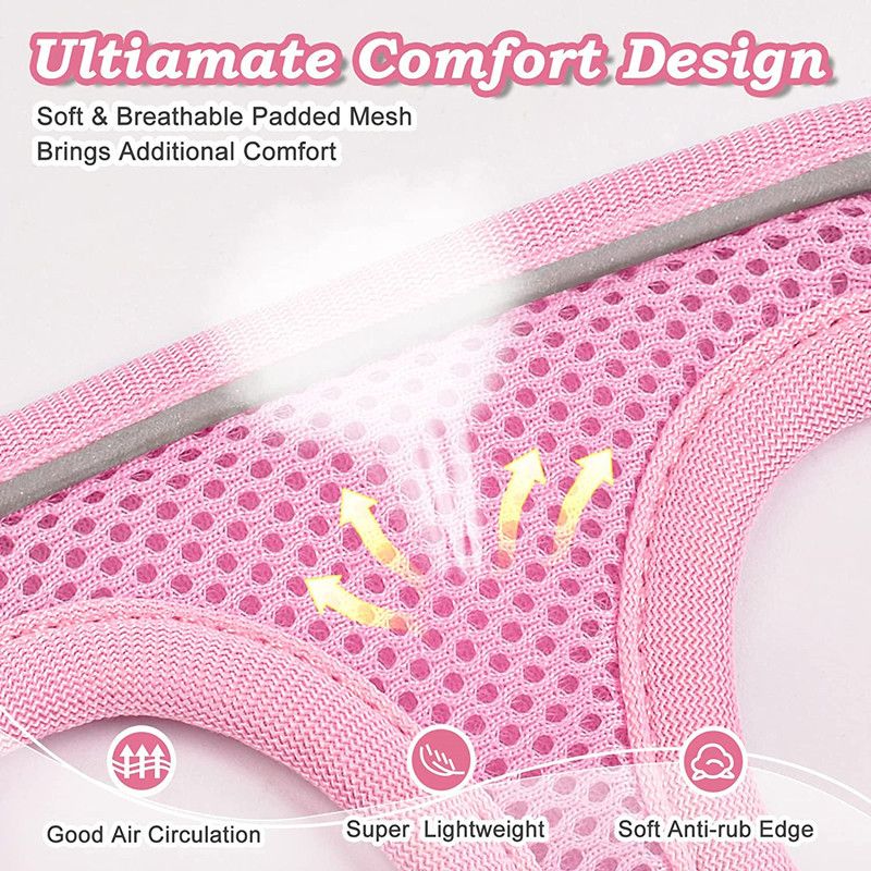 Step-in Dog Harness and Leash Set, Soft Mesh No-Chock Reflective Breathable Easy Walk Lightweight Vest Harnesses with Safety Buckle for Small Medium Dogs, Cats, Puppies XS/S/M/L/XL
