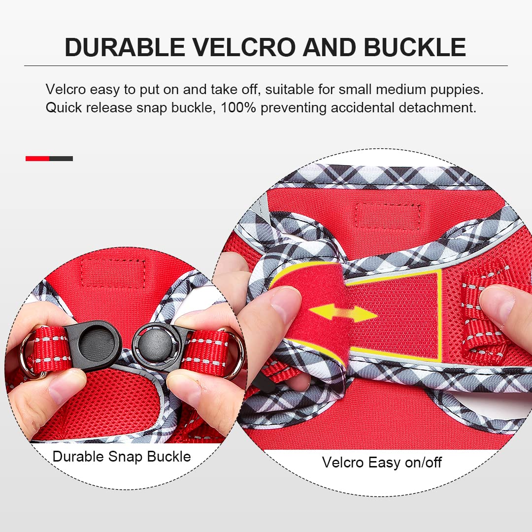 Step-in Dog Harness and Leash Set, Soft Mesh No-Chock Reflective Breathable Easy Walk Lightweight Vest Harnesses with Safety Buckle for Small Medium Dogs, Cats, Puppies XS/S/M/L/XL