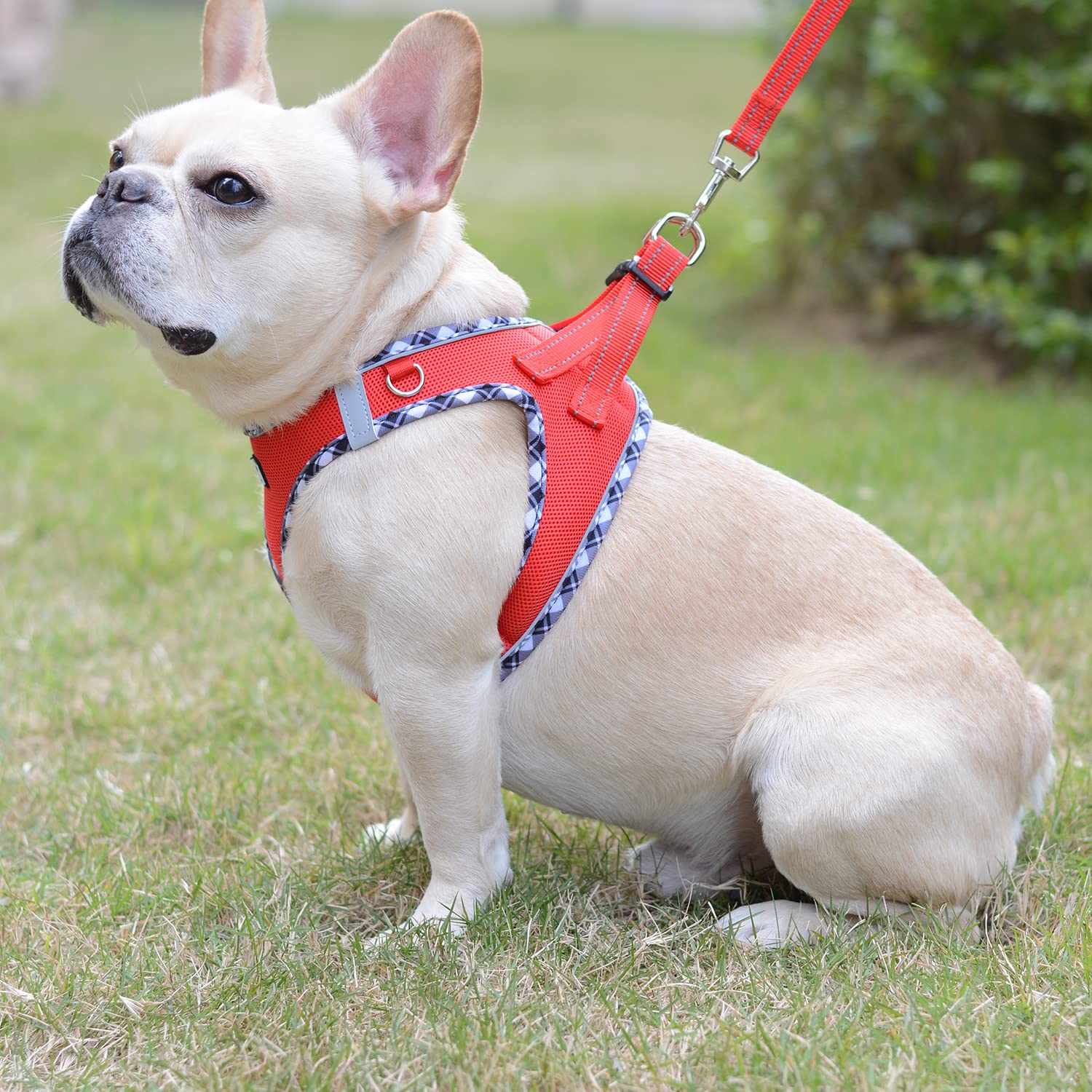 Step-in Dog Harness and Leash Set, Soft Mesh No-Chock Reflective Breathable Easy Walk Lightweight Vest Harnesses with Safety Buckle for Small Medium Dogs, Cats, Puppies XS/S/M/L/XL