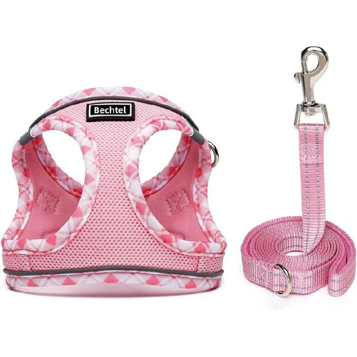 Step-in Dog Harness and Leash Set, Soft Mesh No-Chock Reflective Breathable Easy Walk Lightweight Vest Harnesses with Safety Buckle for Small Medium Dogs, Cats, Puppies XS/S/M/L/XL