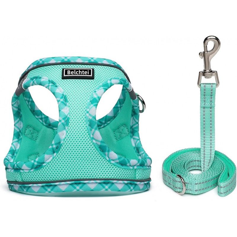 Step-in Dog Harness and Leash Set, Soft Mesh No-Chock Reflective Breathable Easy Walk Lightweight Vest Harnesses with Safety Buckle for Small Medium Dogs, Cats, Puppies XS/S/M/L/XL