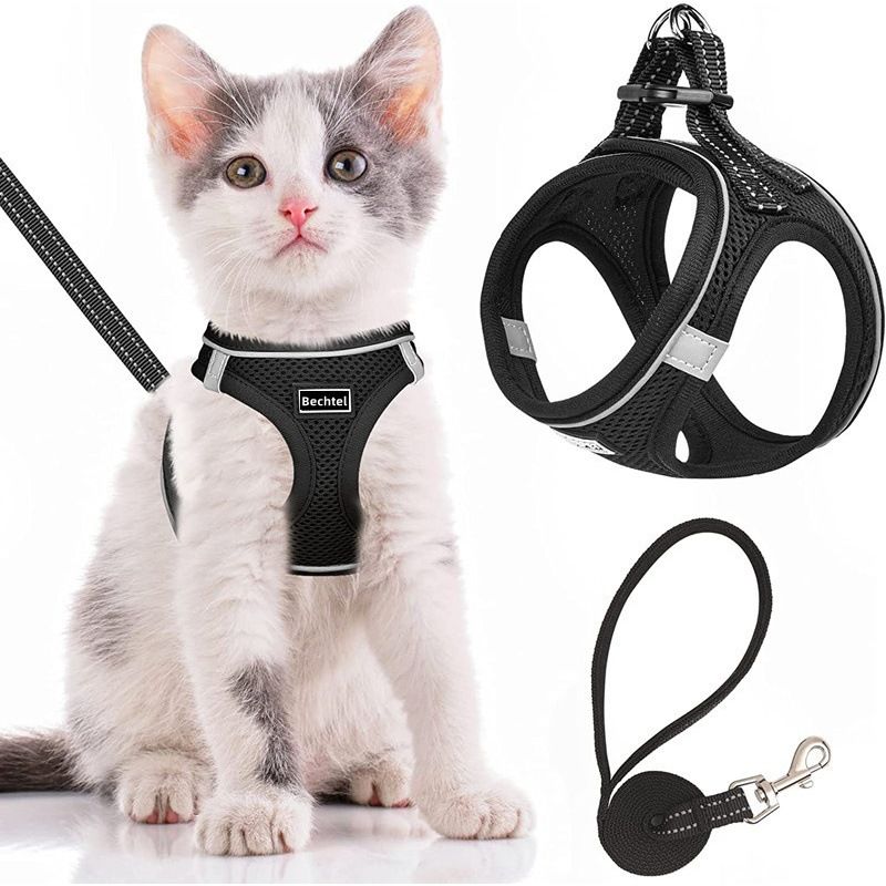 Step-in Dog Harness and Leash Set, Soft Mesh No-Chock Reflective Breathable Easy Walk Lightweight Vest Harnesses with Safety Buckle for Small Medium Dogs, Cats, Puppies XS/S/M/L/XL
