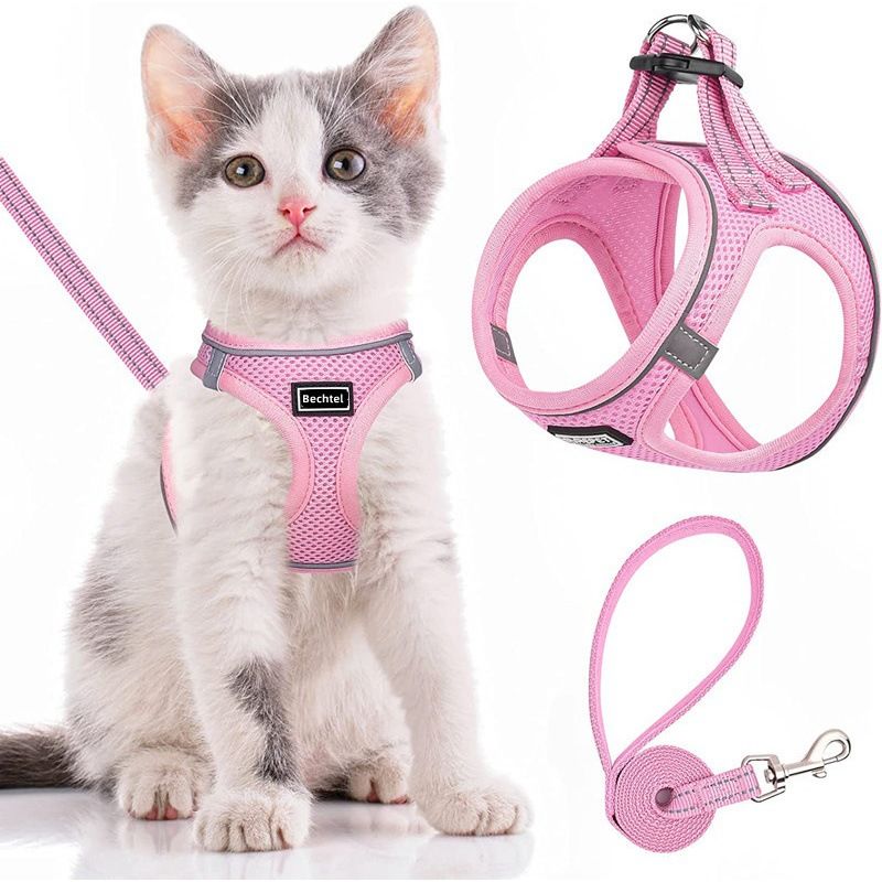 Step-in Dog Harness and Leash Set, Soft Mesh No-Chock Reflective Breathable Easy Walk Lightweight Vest Harnesses with Safety Buckle for Small Medium Dogs, Cats, Puppies XS/S/M/L/XL