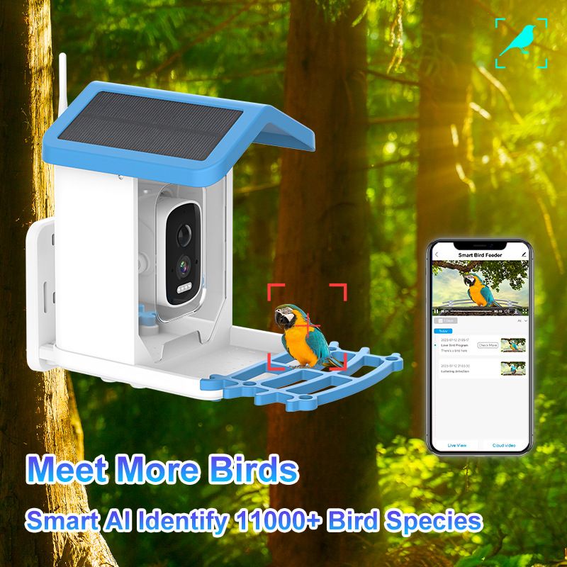 Smart Bird Feeder with Camera 1080P HD Camera Solar Panel Low Power Night Vision IPX6 Waterproof 4G or WIFI Connect