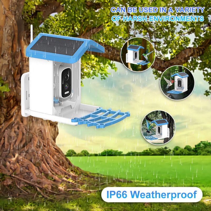 Smart Bird Feeder with Camera 1080P HD Camera Solar Panel Low Power Night Vision IPX6 Waterproof 4G or WIFI Connect