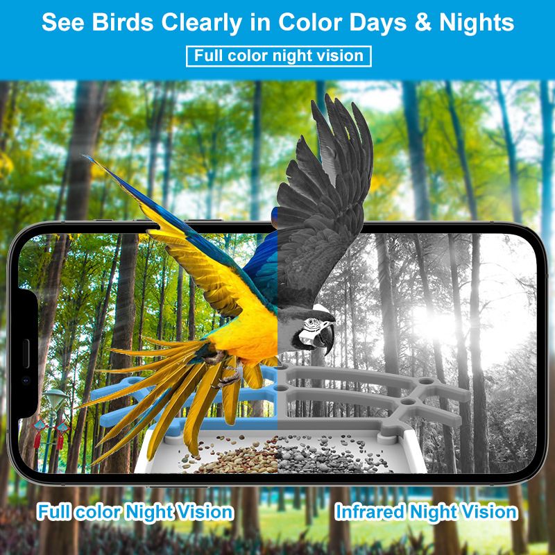 Smart Bird Feeder with Camera 1080P HD Camera Solar Panel Low Power Night Vision IPX6 Waterproof 4G or WIFI Connect
