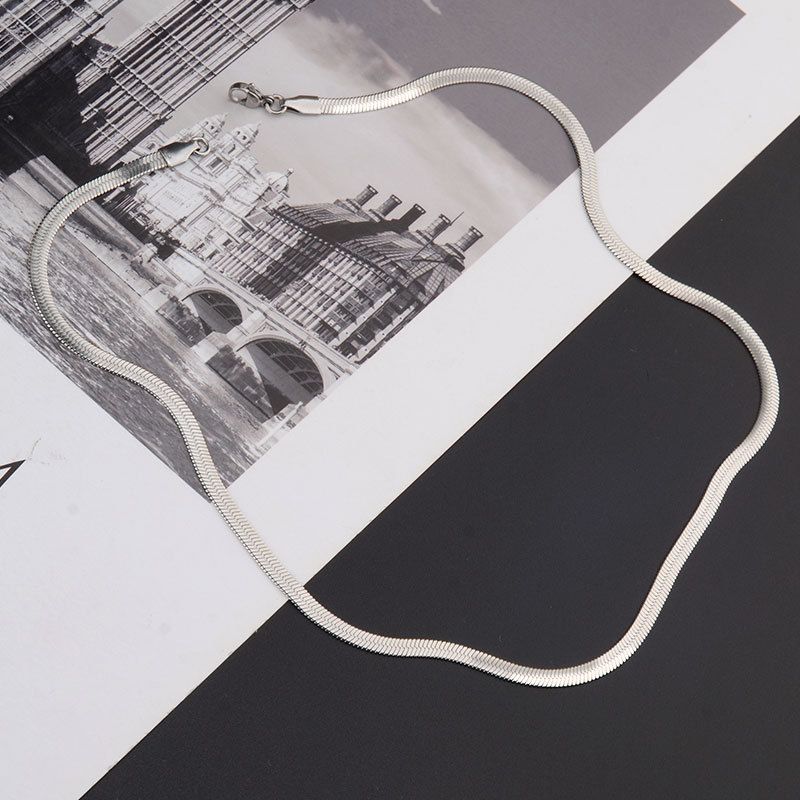 Blade wide snake bone chain titanium steel thin encrypted snake chain simple snake bone necklace men's chain advanced clavicle chain personality