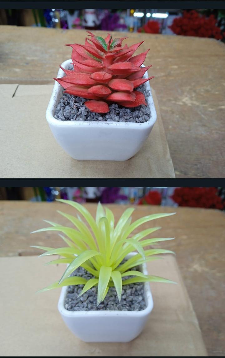Artificial Succulent flowers/table top flower