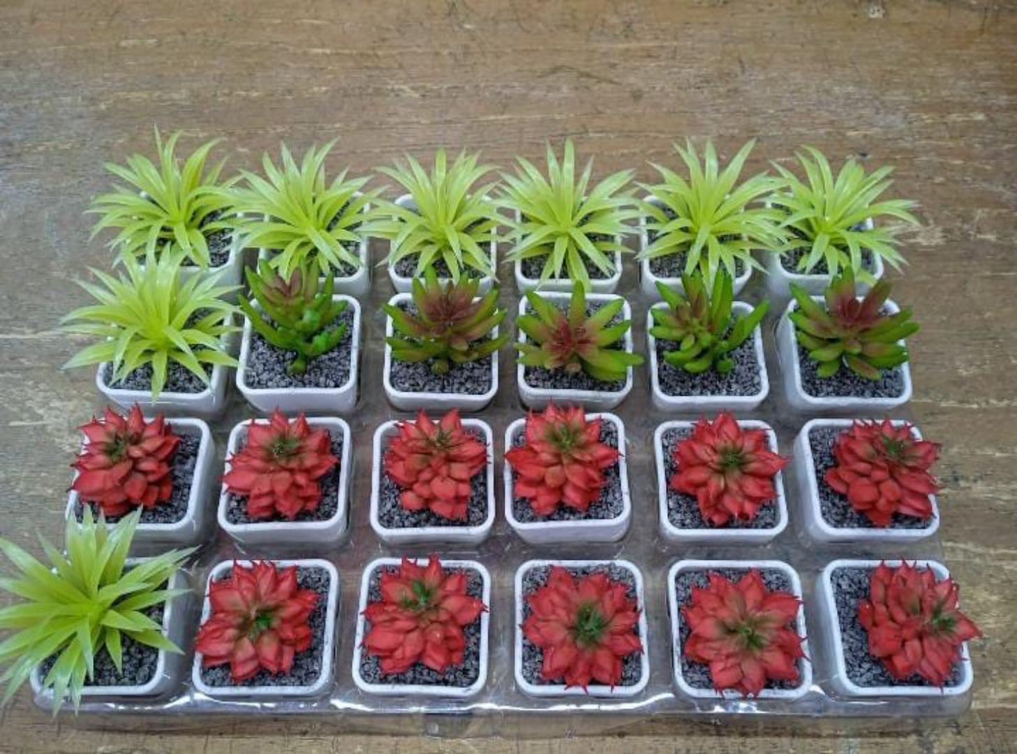 Artificial Succulent flowers/table top flower