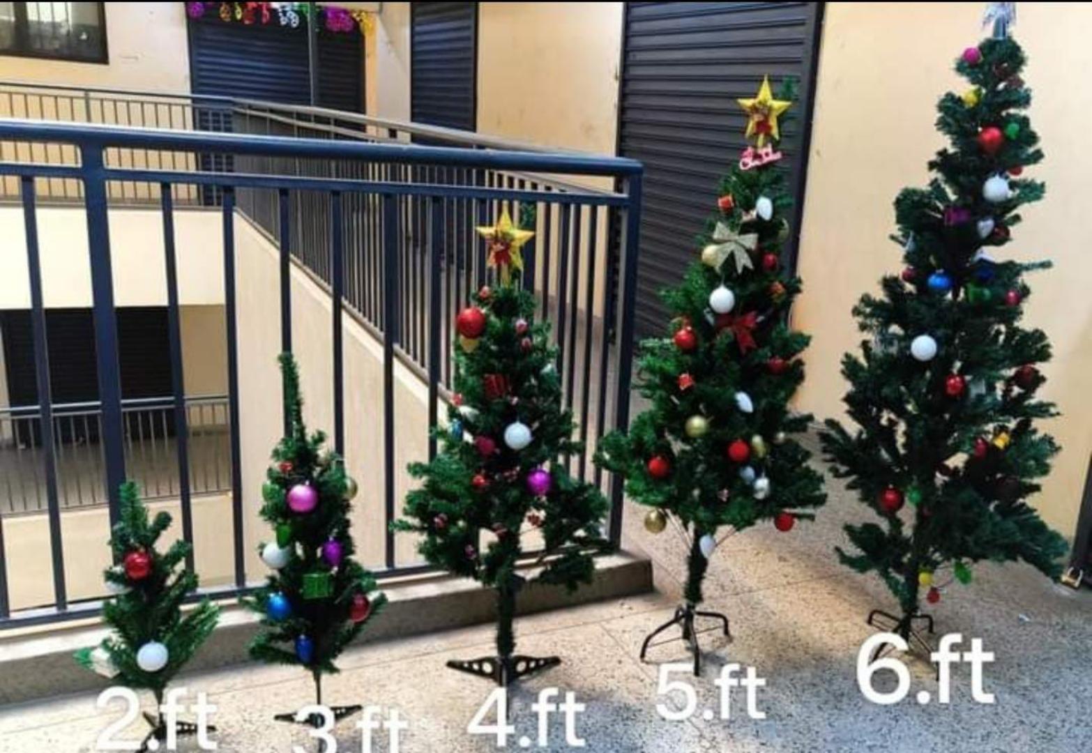 Christmas tree cypress green (without decorations)  COMES IN A BOX