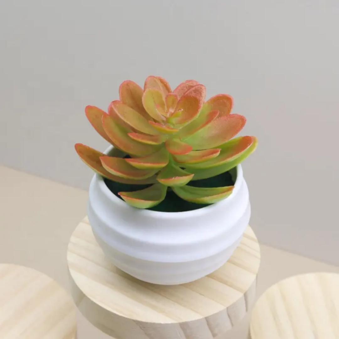 2 pcs Artificial succulent tabletop decor small