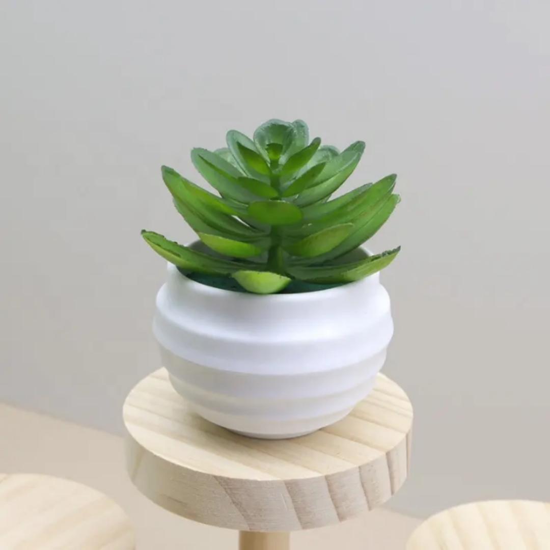 2 pcs Artificial succulent tabletop decor small