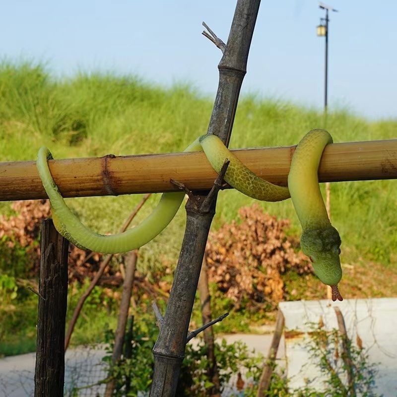 2pcs snakes and crocodiles bigger Soak in water and become a big snake for 7 days and expand 600%. Tik Tok develops the same toy. Remember the fun of teasing snakes and crocodiles randomly