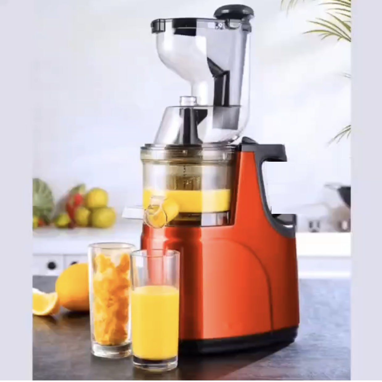 Slow Masticating Juicer Cold Press Juice Extractor