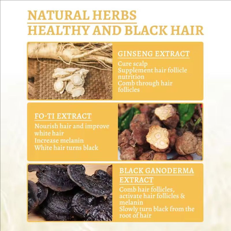 Ganoderma Nutrient Natural Hair Recoloring Damage Hair Care Activates Hair Follicles Melanin Hair Repair Massage Essence Liquid