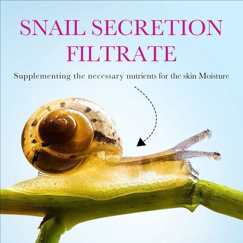 Snail Collagen Face Cream Gel Firming Repair Brightening Moisturizing Facial Creams Beauty Face Skin Care Products