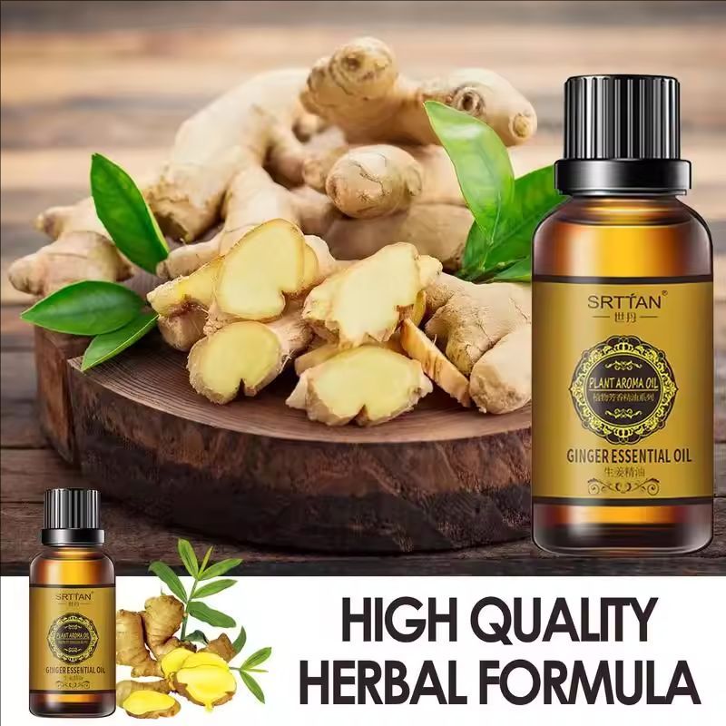 Ginger Oil Essential Organic Ginger Plant Oil For Soap 100 Pure Steam Distilled Therapeutic Graded Plant Therapy Essential Oils