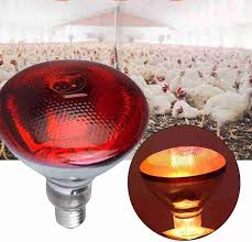 RED INFRARED CHICHKEN BULB-  a reliable and essential tool for maintaining the health and well-being of your poultry. Designed to provide optimal warmth and comfort,