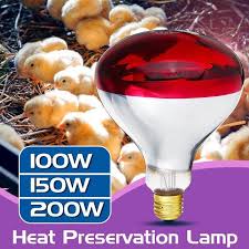 RED INFRARED CHICHKEN BULB-  a reliable and essential tool for maintaining the health and well-being of your poultry. Designed to provide optimal warmth and comfort,